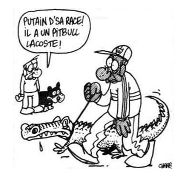 Putain d'sa race ! Il a un pitbull Lacoste !